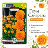 Геум махровый Санрайз