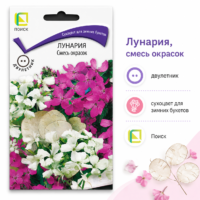 Лунария Смесь окрасок сухоцвет денежный амулет