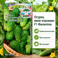 ОГУРЕЦ Филиппок F1 миникорнишоны