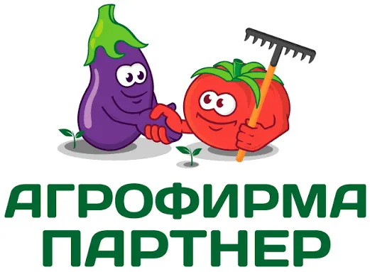 Партнер