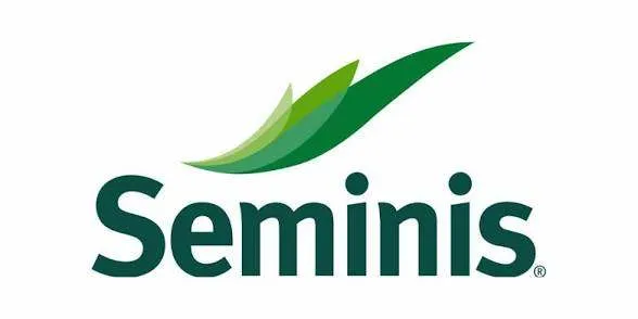 SEMINIS