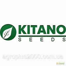 KITANO