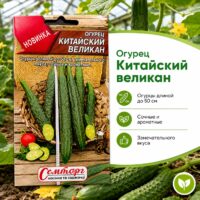 ОГУРЕЦ Китайский Великан