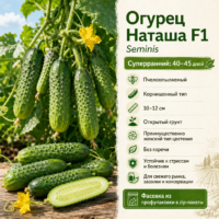 Огурцы Наташа Микс F1 ранний урожайный (пчелоопыляемый)