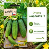 Огурцы Шарлотта F1