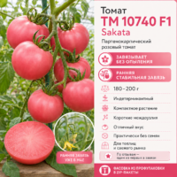 Томат 10740 F1 бессеменной мясистый сладкий