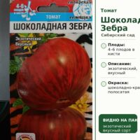 Томат Шоколадная зебра полосатый вкусный