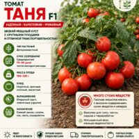 Томат Таня F1 ранний урожайный детерминантный с плотными плодами дляя консервации